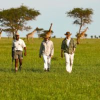 Kenya Walking Safari